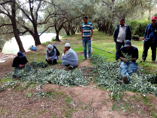 27400597368 53a4e4b87e o