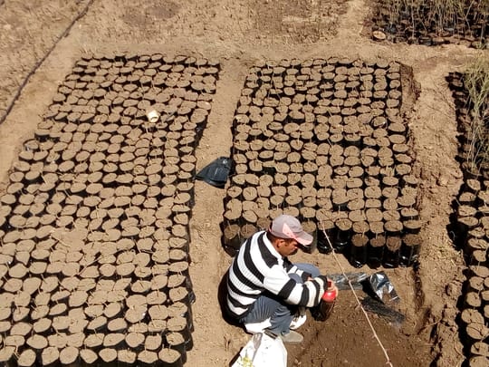 27406749618 2e0c23260e o