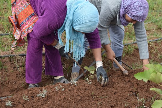 29985877254 c60ce7b1e9 o 2