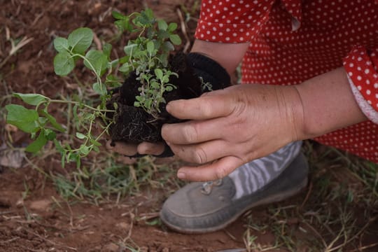 30500318832 a7a556191c o