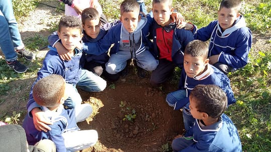 31358644317 48938f99f1 z