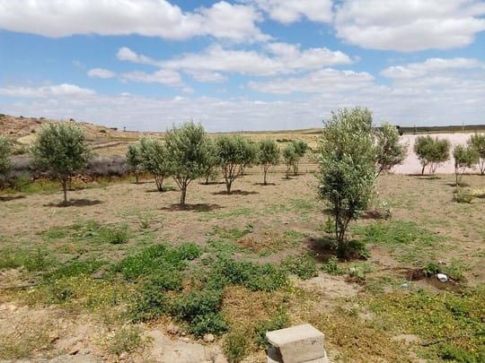 31534036888 c8759e65ec c