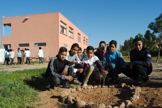 32238078852 a1008954c7 o