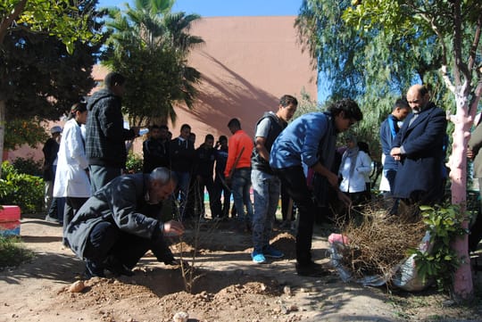 32268401131 ac8d1cd4e0 o