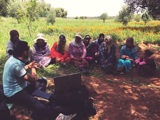 34007049761 c391769b47 o