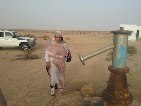 35800305773 1653572c8e o