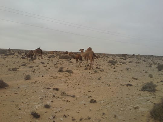 36471144961 68fddb2ba7 o