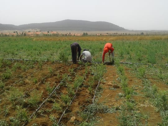 36792183085 d0967ea0bf o