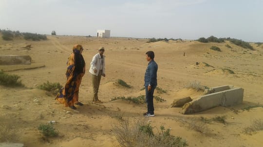 37611844801 a23e65d36a o