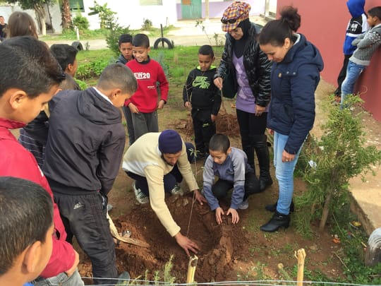 38568936140 07c0872255 o