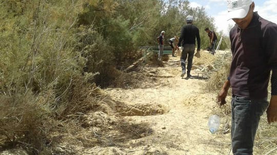 39928096700 284d2bf0aa o