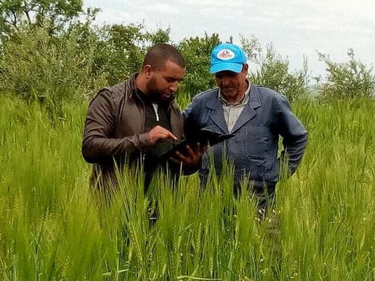 40208036930 72bb876885 z