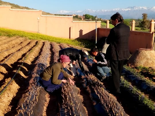 40581829394 61582b3fec o