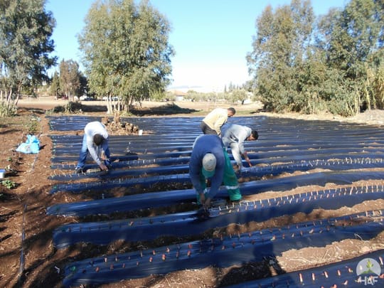 40974732294 7c5dc9a500 o GF