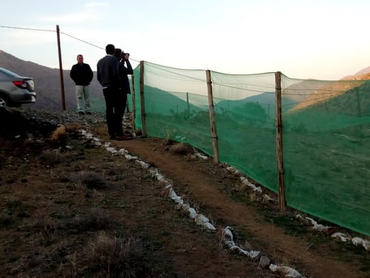 41278775351 edc389cf15 k