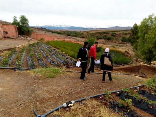 44719084835 20338a7701 o