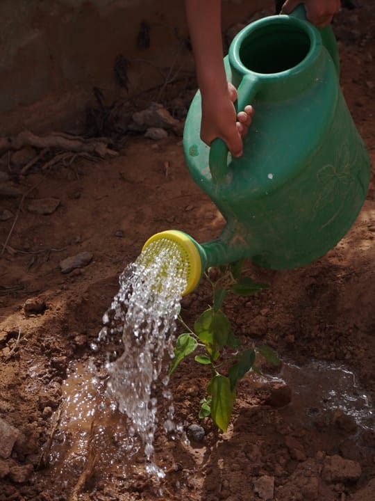 45266120951 d653e4dcaa o