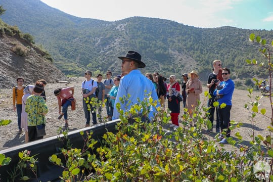 46386150935 cd2cb03e00 o