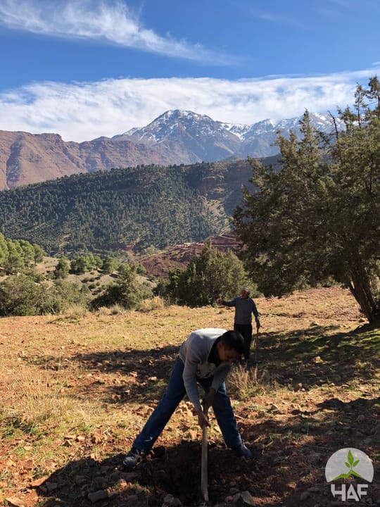 46884083052 232e723547 o