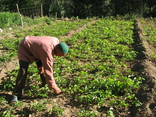 4763090605 026c025ca8 o