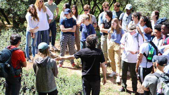 48050244656 2bf50f94c8 o