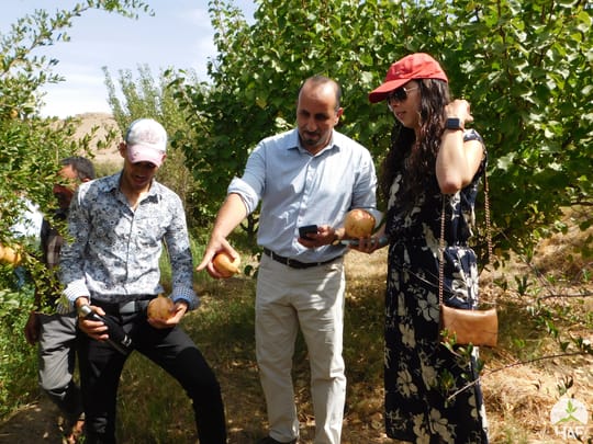 48830608983 b11d74eefe o