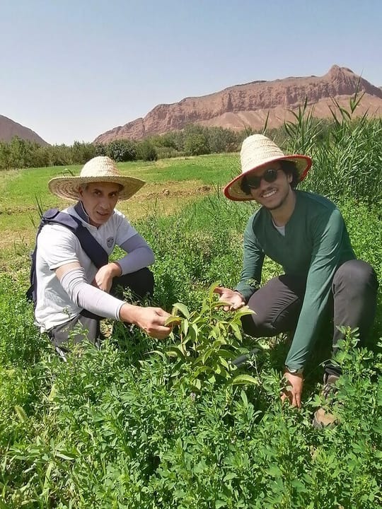 50208398892 92728cfbef c