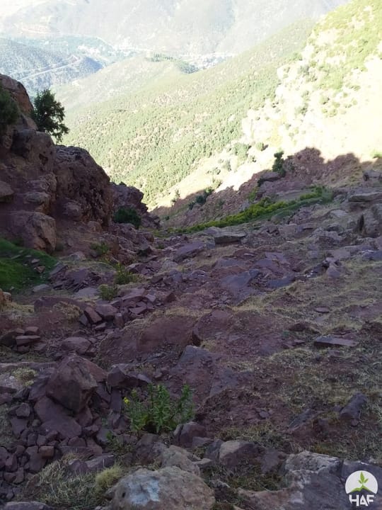 50408120797 f7c0e8406f o