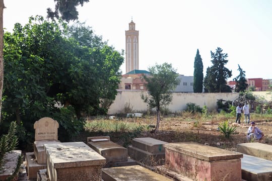 51610835050 ae18ffd3e7 o