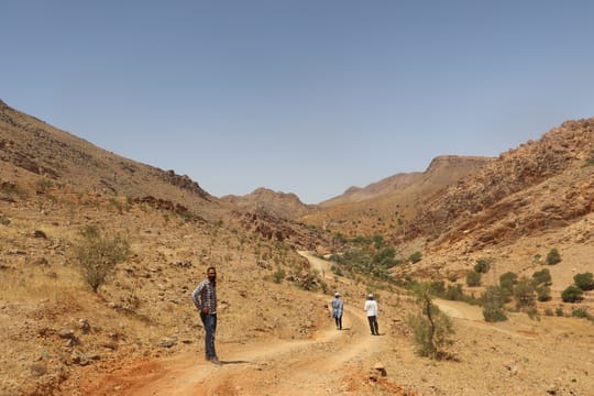 51637449473 ddb6f4e0c6 o