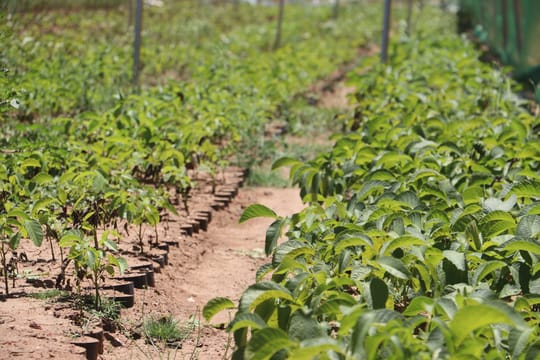 51638333540 f5d942f3ce o