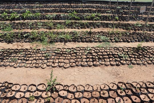 51638430454 8a96e9cdf2 o