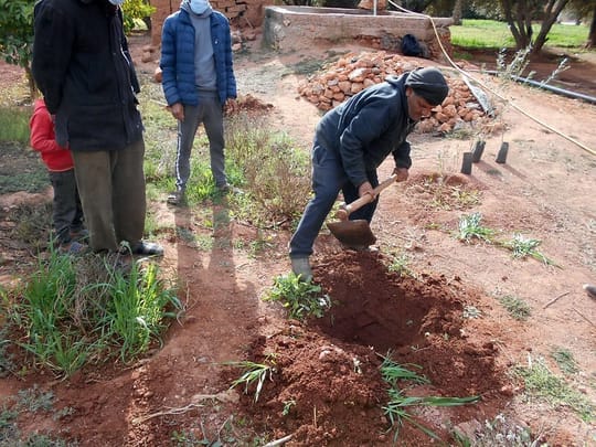 51828307729 14ffdd5d11 c