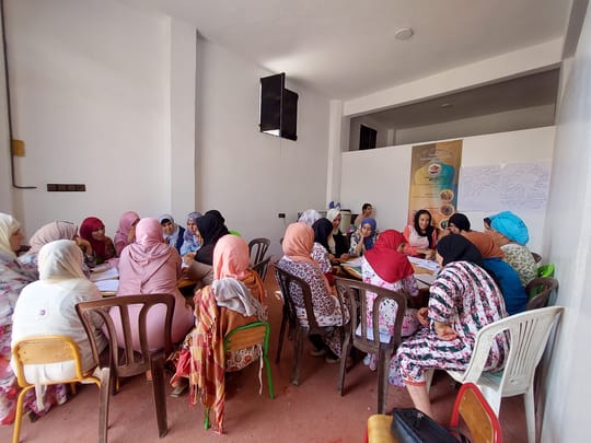 52321875162 da17a00df6 o