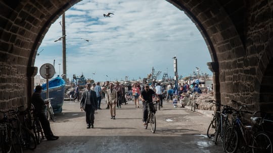 52422999328 484d178503 o