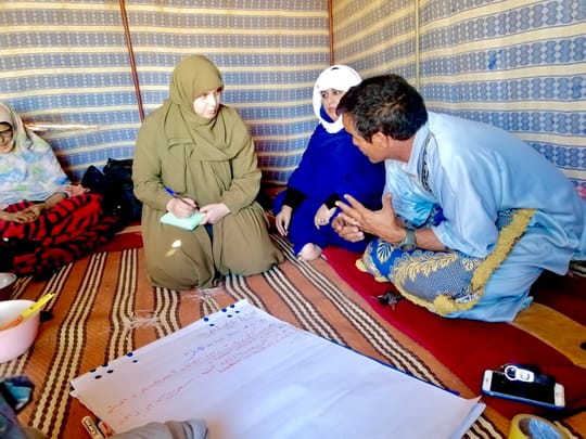 52618446722 974f300411 o