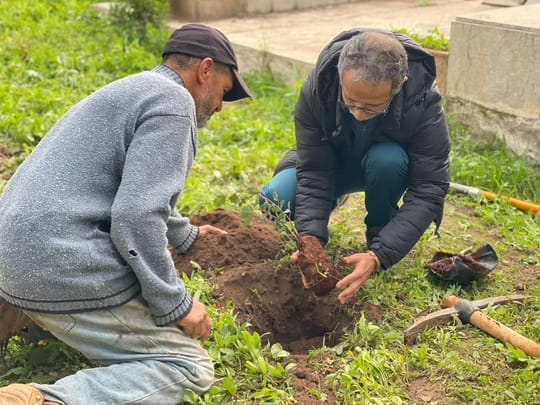 52629885627 ed2e7e88e5 o