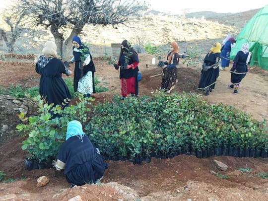 52665545601 7aece541f6 o