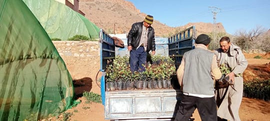 52665834909 c77a96528f o