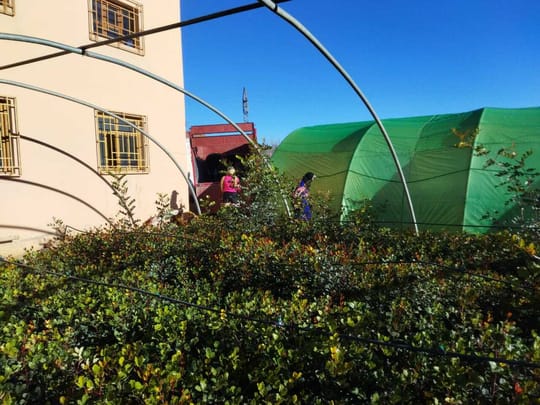 52665982670 9bcce65c45 o