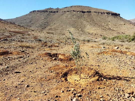 52666045983 c3d9263fd4 o