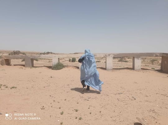 52791761498 75ebae4c73 o