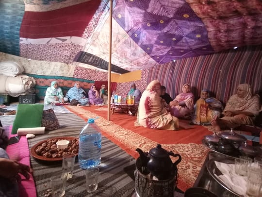 53040700854 3ec6c32c7c o