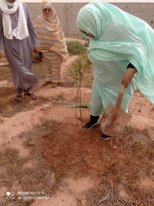 53043252886 de9f825683 o