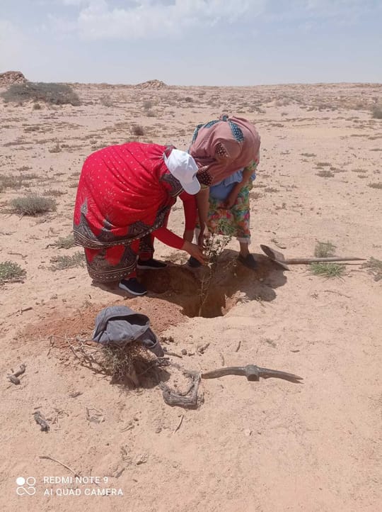 53043732588 ca32079b57 o