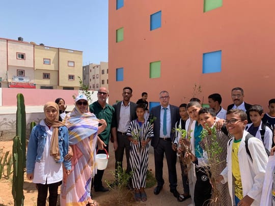 53043991550 f8bbf410b9 o