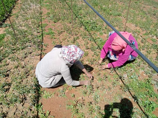 53362742122 24521ed761 o