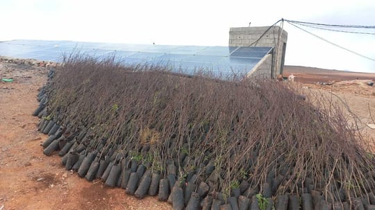 53363674711 4d9b1bbf0c o