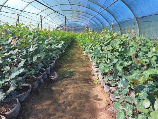 53363856444 7dbe135b62 o