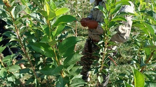 53363856454 887681b210 w